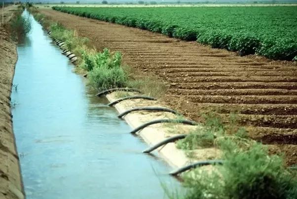 Effects of Canal Irrigation