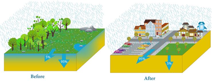 Importance of Urban Drainage System