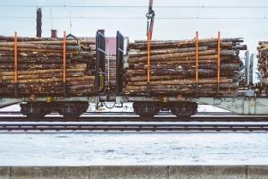Logs - Wood Timber Properties