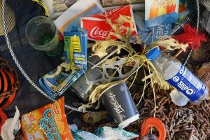 Solid Waste Health and Safety Issues